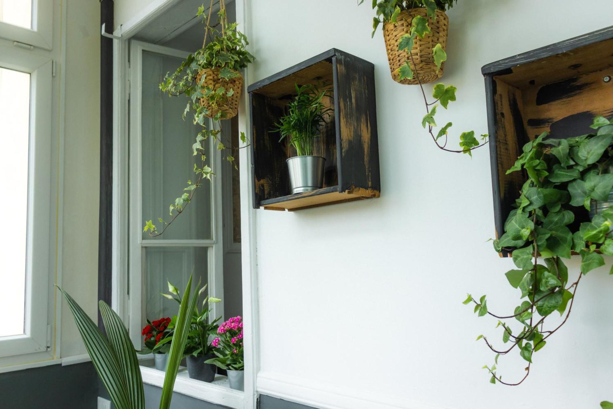 Saint Jack Luxury Apartment Triest Exterior foto